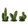 Další varianta designových kaktusů